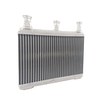 Calefactor Automotriz BMW 525i 528i 530i 550i 650i M5 M6 04-11