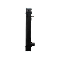 Radiador Camion Urbano Autobus Escolar Freightliner 50 90  91-04 Plástico/Aluminio T/A