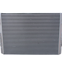 Intercooler Freightliner Business Class 11-17 Sin Pivote