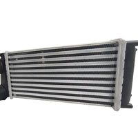 Intercooler Peugeot 307 04-13